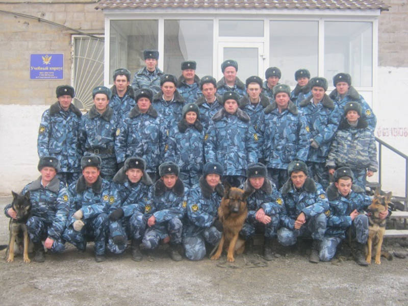 Целый отряд вожатых для тюремных собак обучили на Среднем Урале