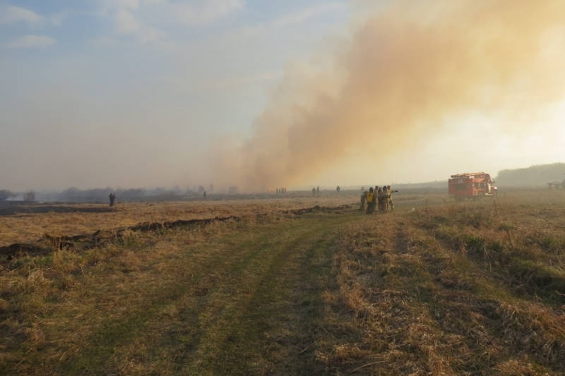 Крупный природный пожар в Каменском районе тушили с вертолёта