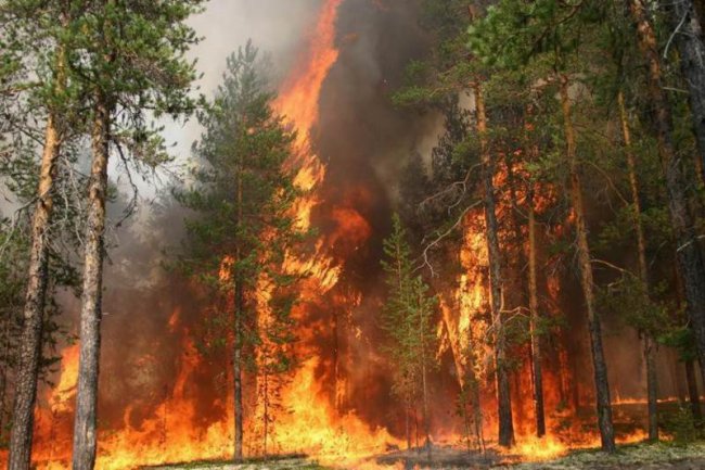 Свердловское МЧС объявило о чрезвычайной пожарной опасности