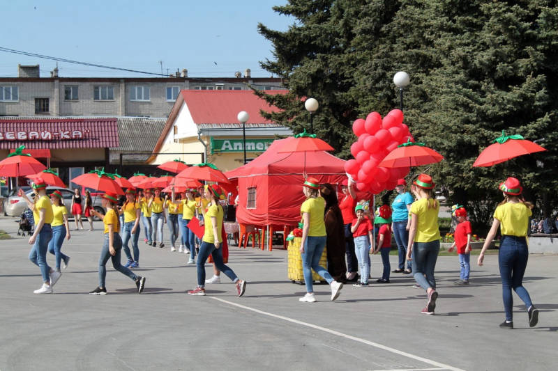 Гигантскую живую «землянику» создадут в Камышлове, чтобы попасть в Книгу рекордов России