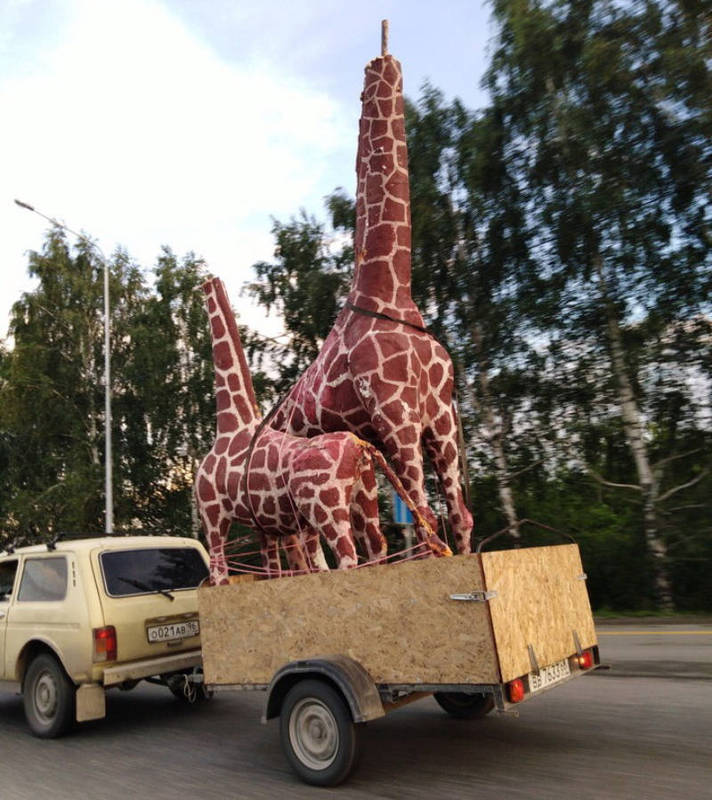 Жирафу с улицы Советской вандалы оторвали голову