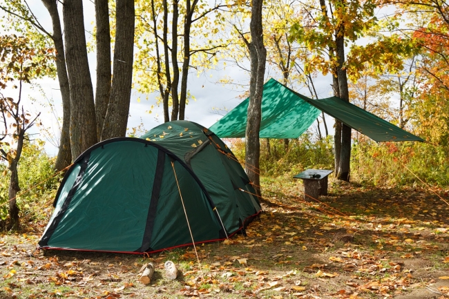 В Екатеринбурге разобьют палаточный инклюзивный лагерь