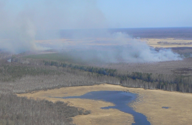 Природный пожар зафиксировали в районе посёлка Солнечный
