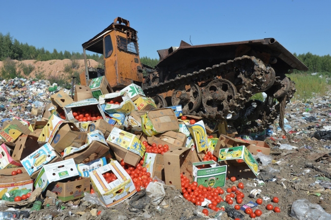 Почти 100 тонн продуктов уничтожено в Свердловской области