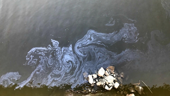 В Верх-Исетском пруду обнаружены нефтепродукты