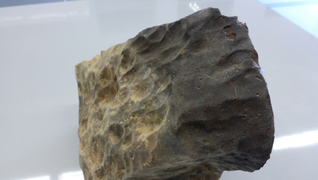 Екатеринбуржцы нашли 800-граммовый метеорит