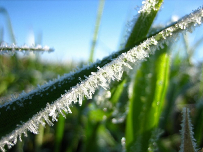 В Свердловской области похолодает до минус 4 градусов