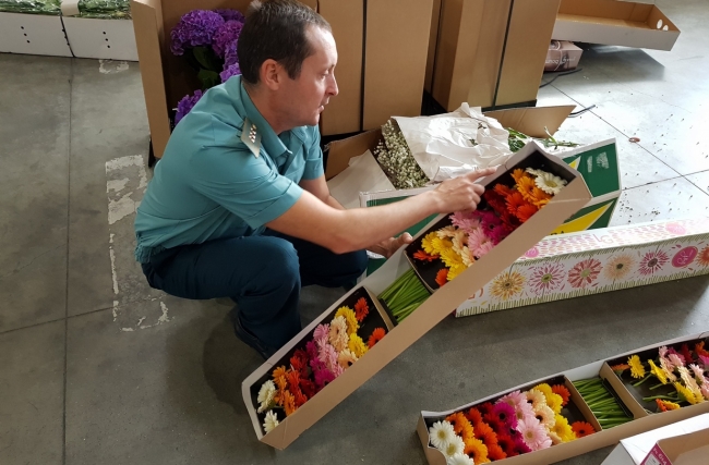 К Дню знаний в Екатеринбург доставили 184 тонны цветов