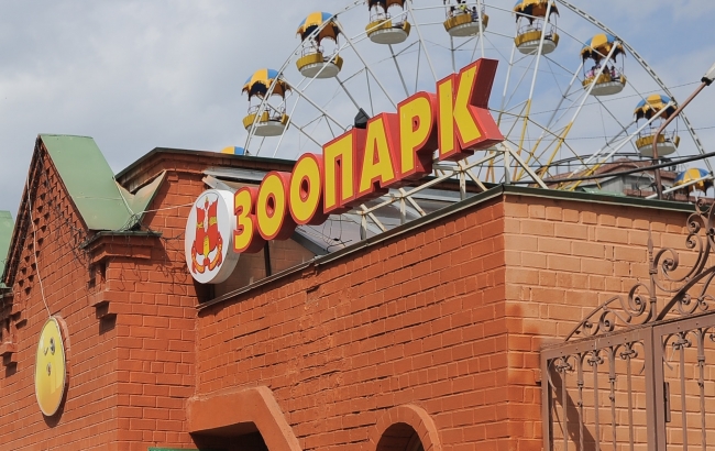 Школяры 1 сентября смогут бесплатно сходить в зоопарк Екатеринбурга