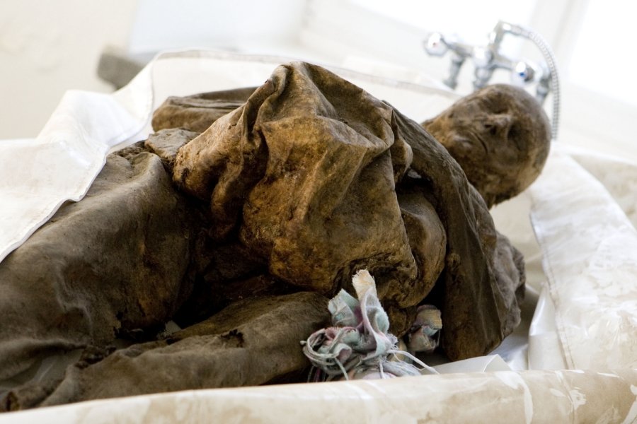 В Екатеринбурге коллекторы обнаружили мумию должника