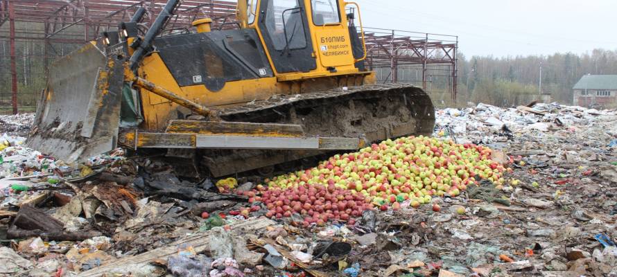 Почти 2 тонны яблок смешали с землёй в Екатеринбурге