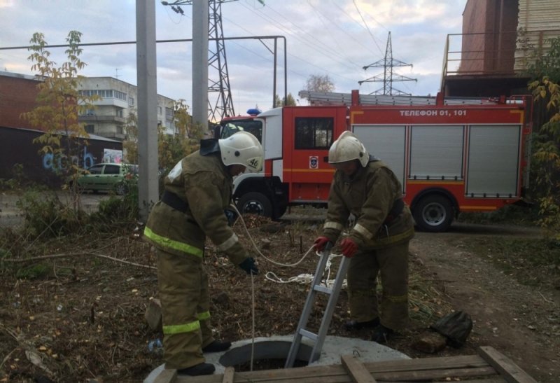 Свердловские спасатели вытащили собаку из канализационного люка