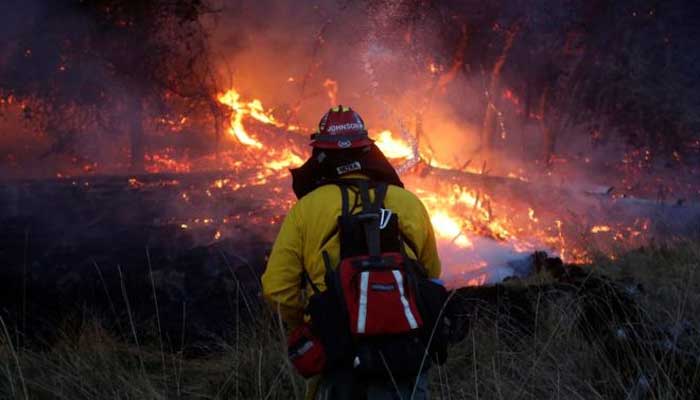 За сутки 4 пожара сожгли 28,7 га свердловского леса
