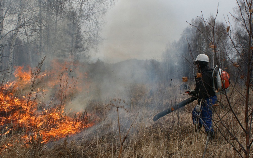Несколько природных пожаров действует на территории Среднего Урала