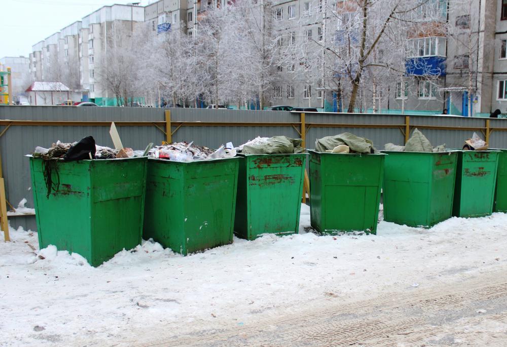 «Спецавтобаза» получит за вывезенный в январе мусор 350 млн рублей