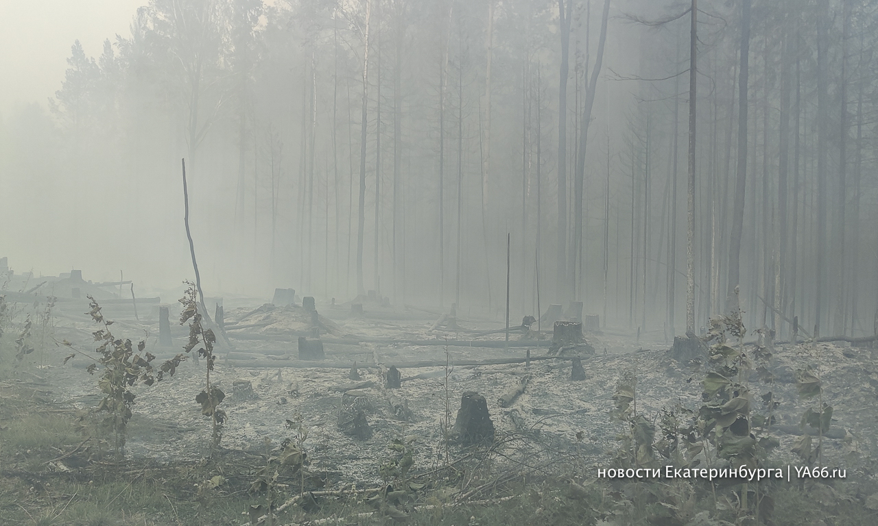 В Свердловской области за сутки ликвидировали 14 природных пожаров