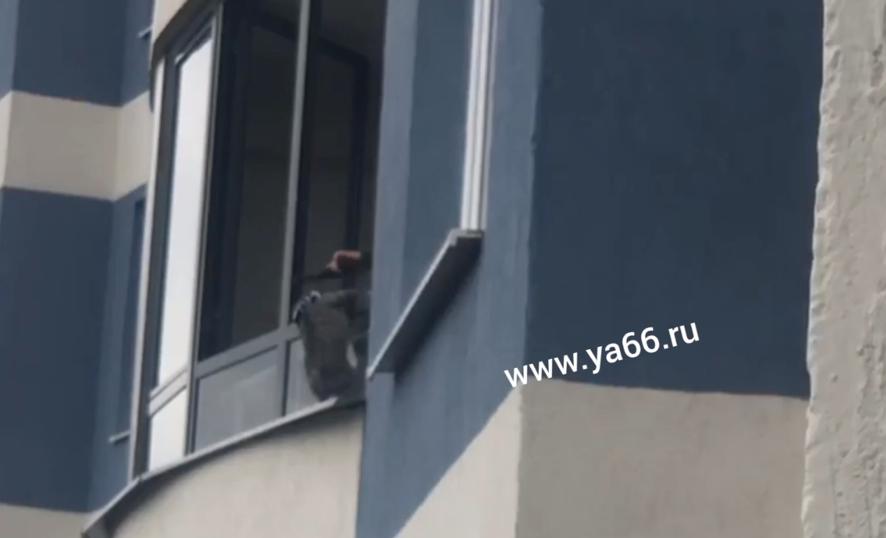 В Екатеринбурге девочка с пистолетом истязала кота. Видео