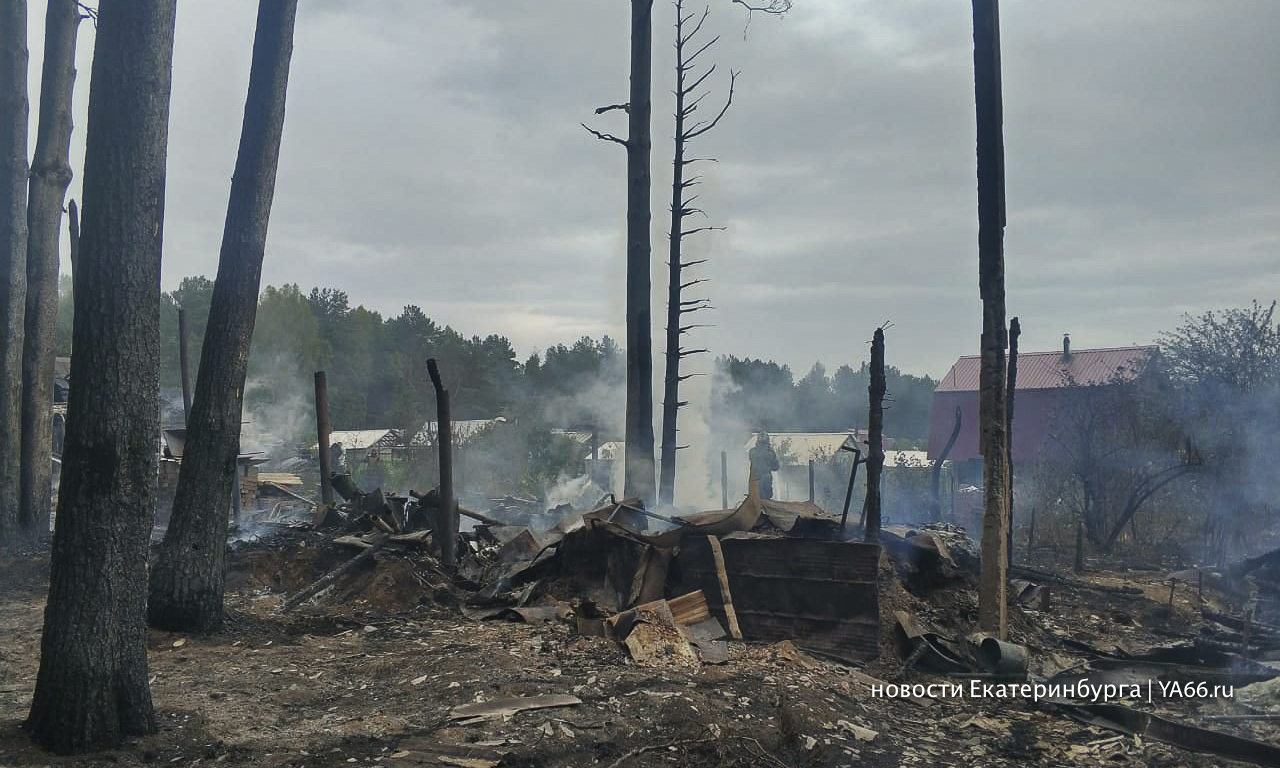 Лесной пожар уничтожил садовые домики