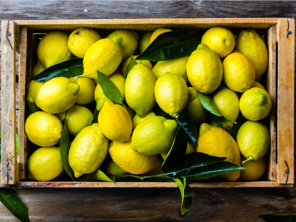 На Урал из ЮАР привезли зараженные лимоны