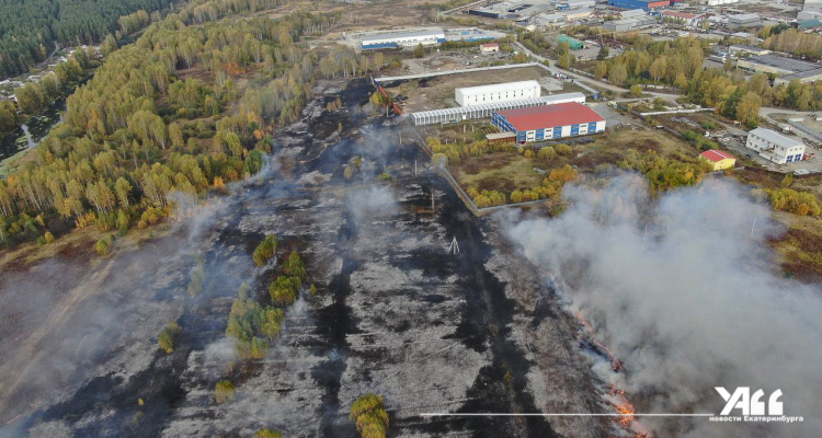 Более чем в два раза сократилась площадь лесных пожаров в Свердловской области